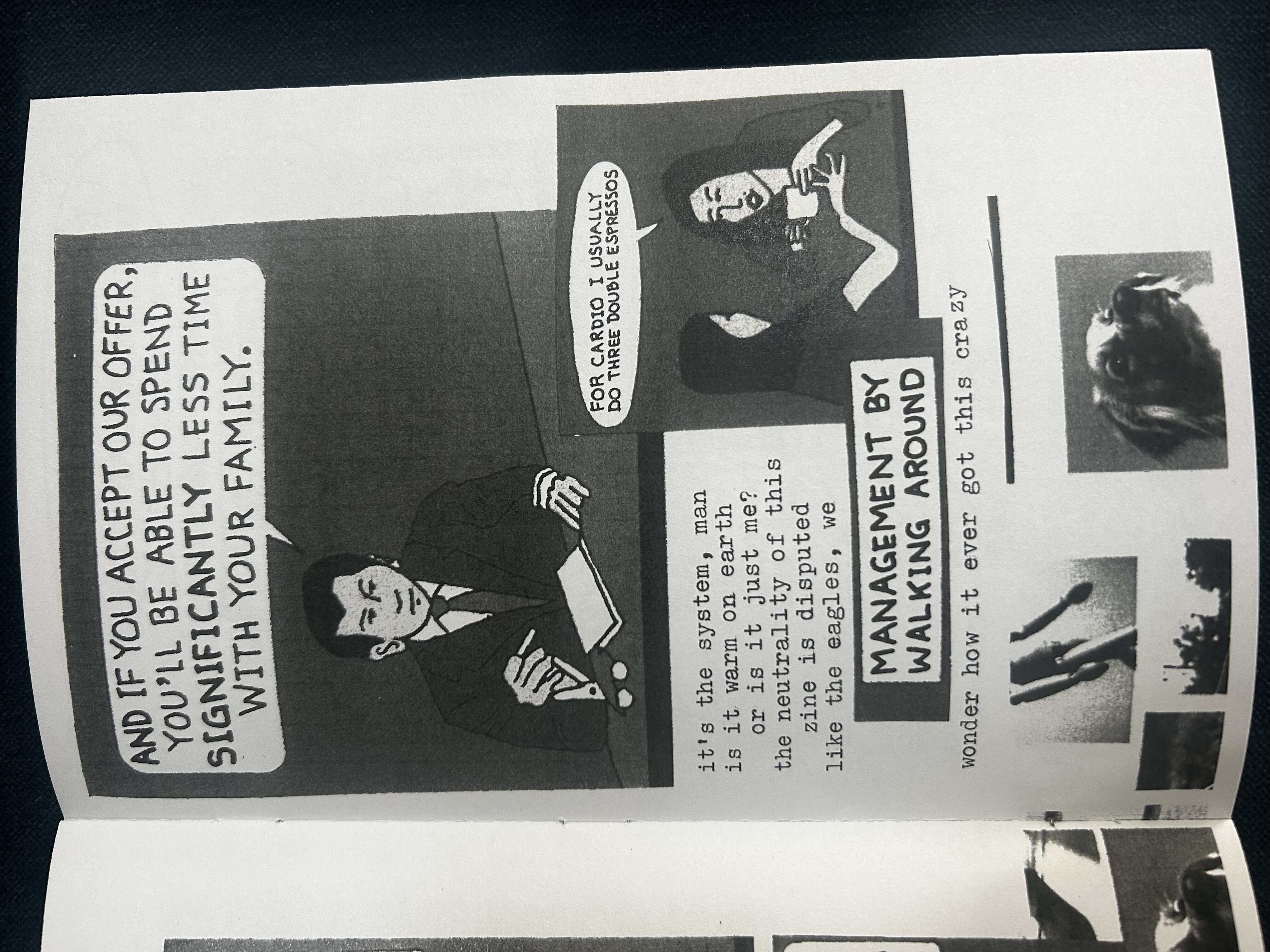CCD page 13
